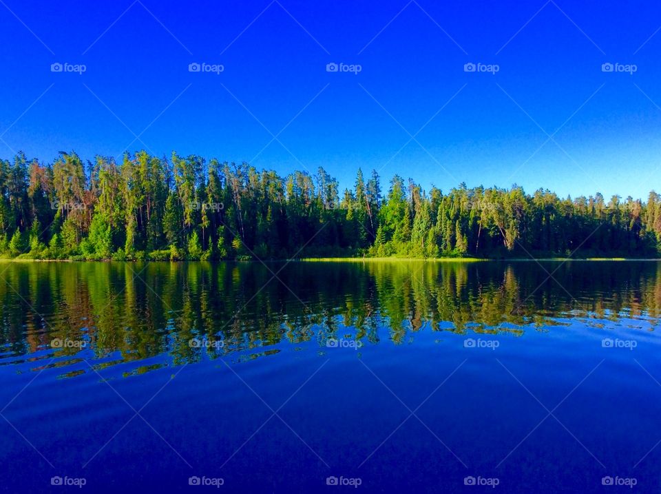 Reflection of trees on lake