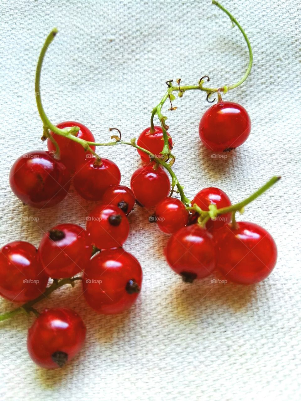 High angle view of berry fruits