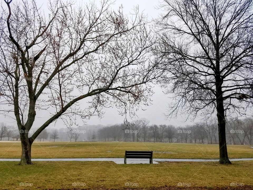 Foggy Park