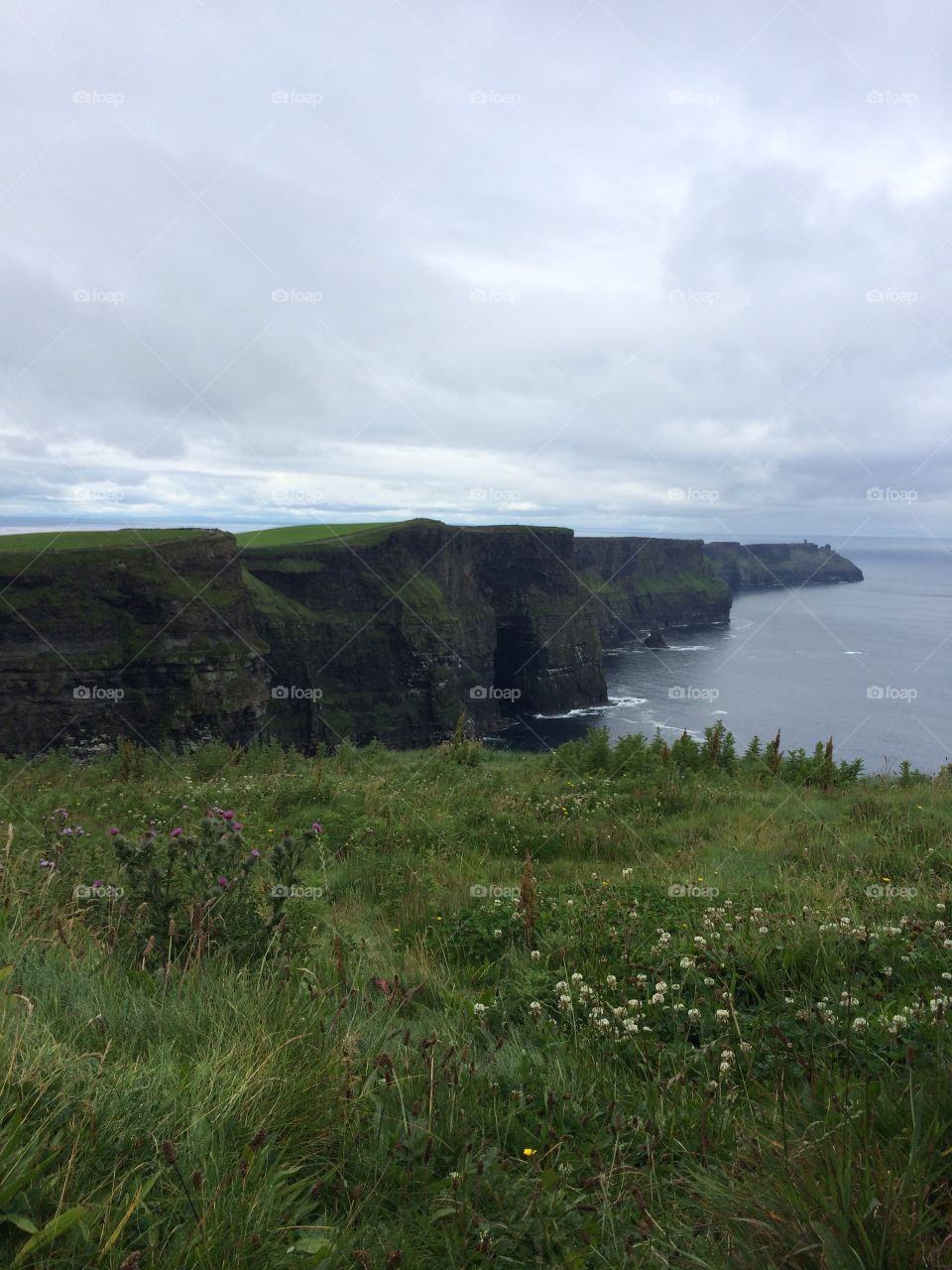 Cliffs of Moher