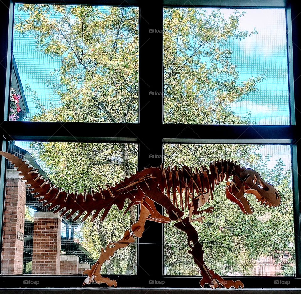 Dinosaur in the Window