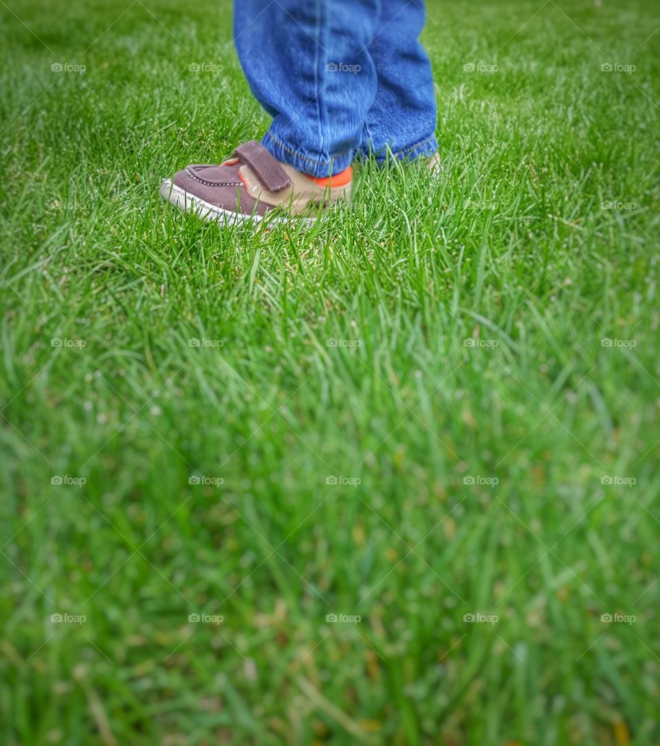A Boy In The Grass