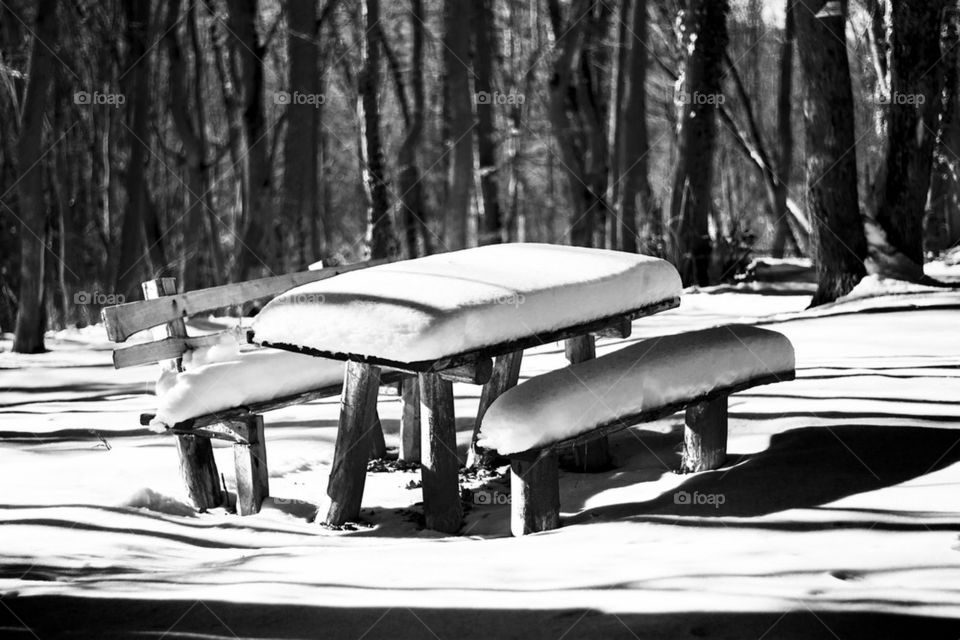 table and bench for relaxing in forest under snow