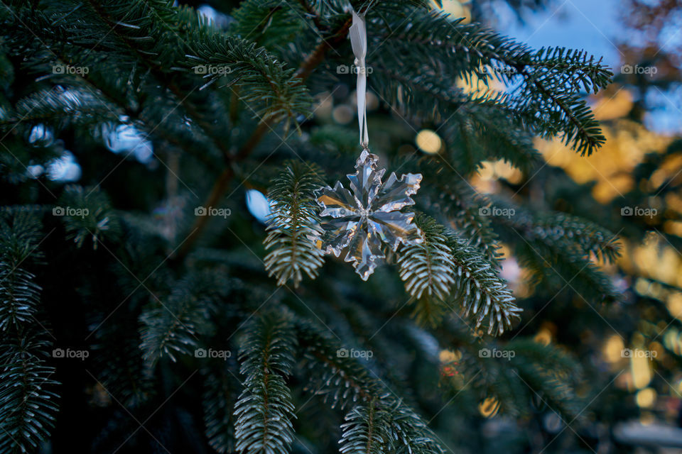 Estrella de Navidad