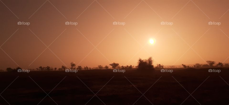 sun rise in desert
