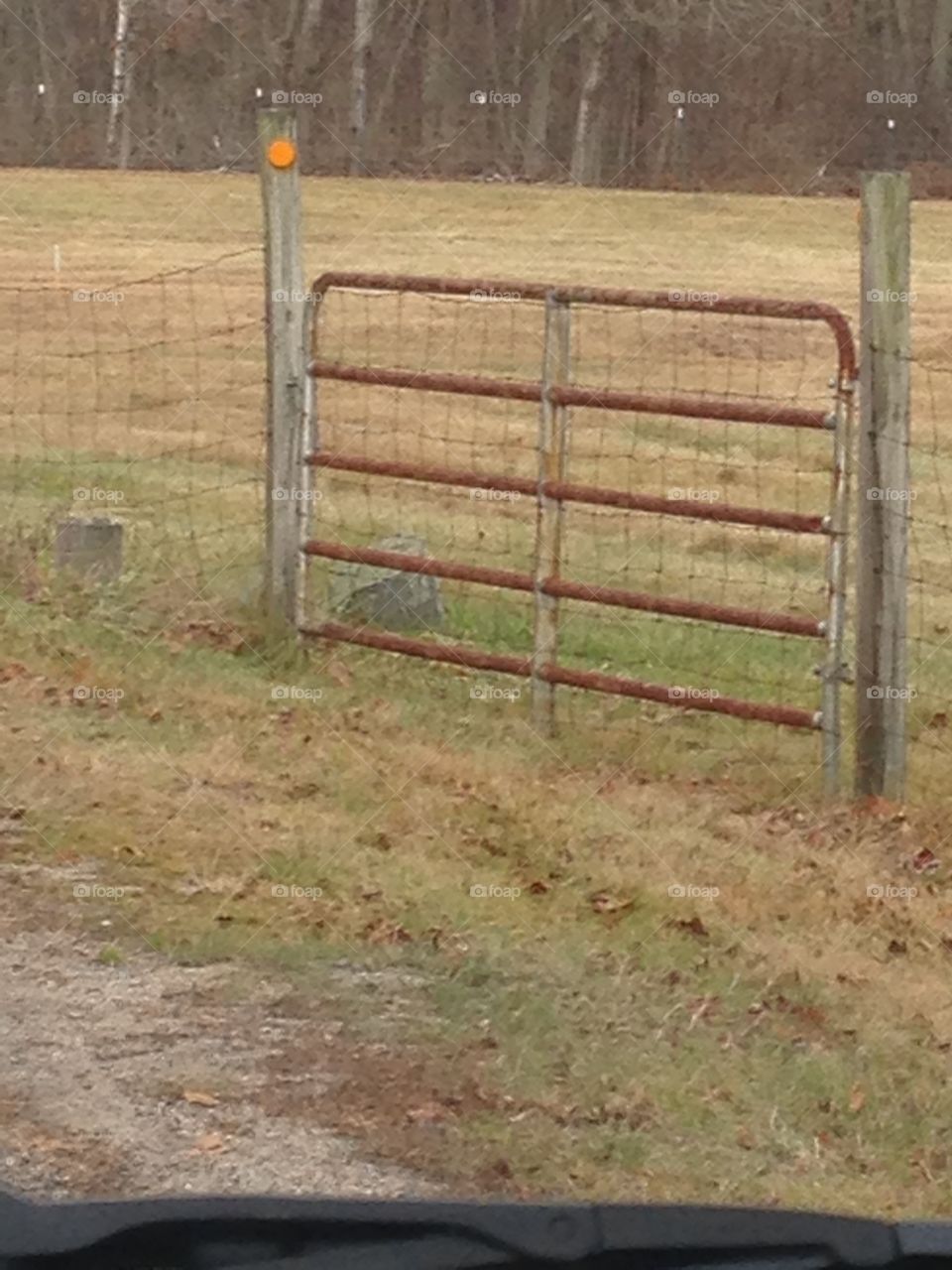 Rusted gate 