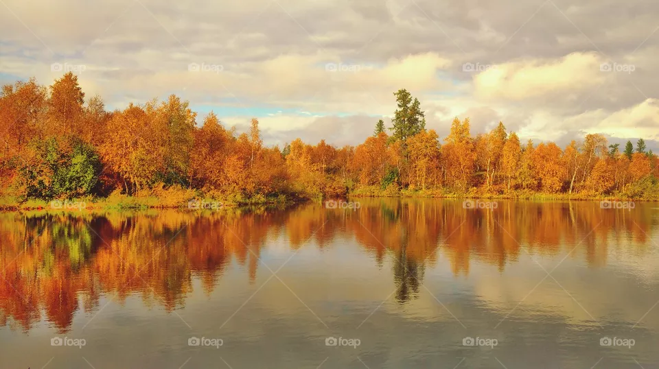 autumn