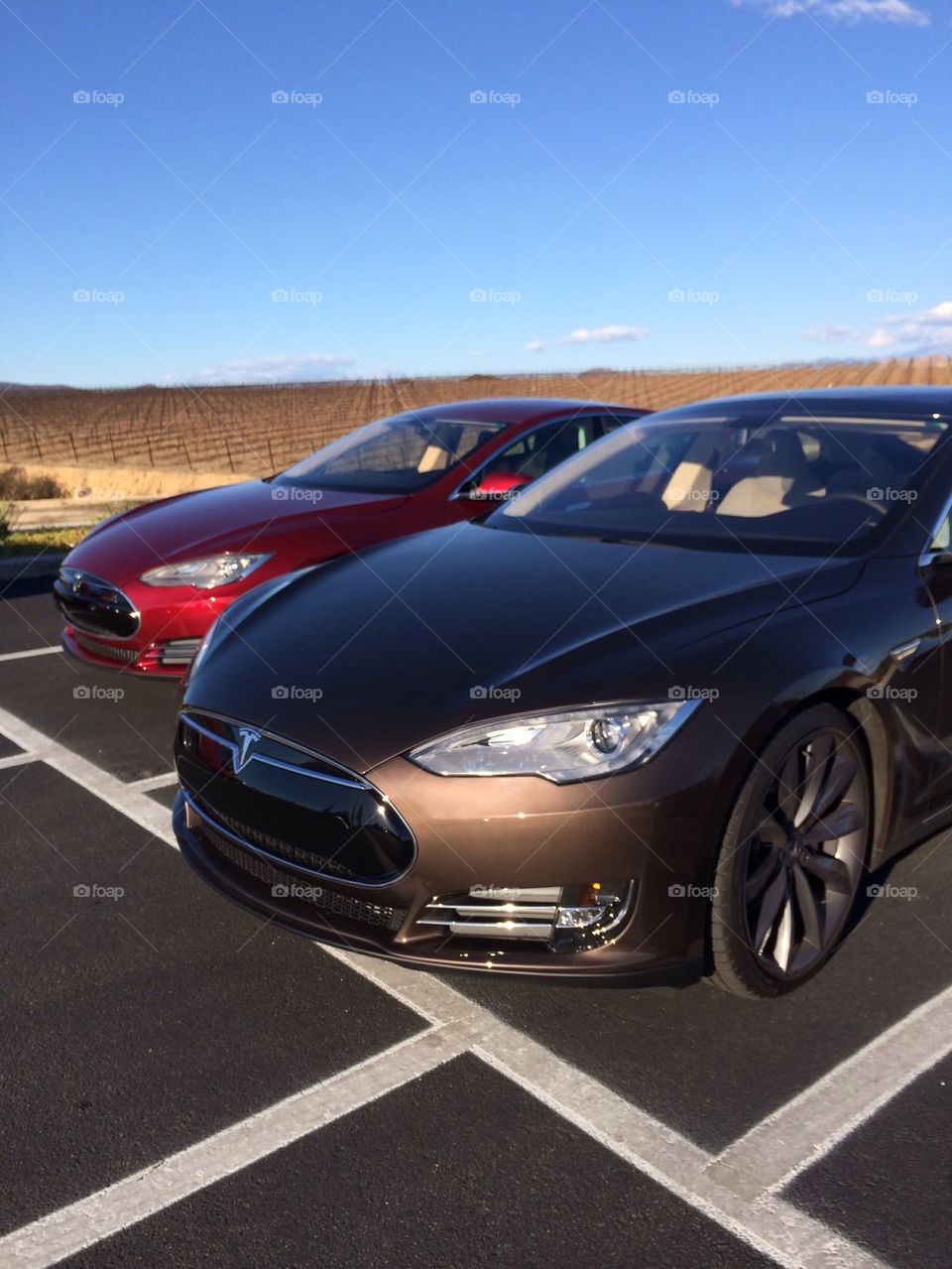 Two Parked Tesla Model S Automobiles