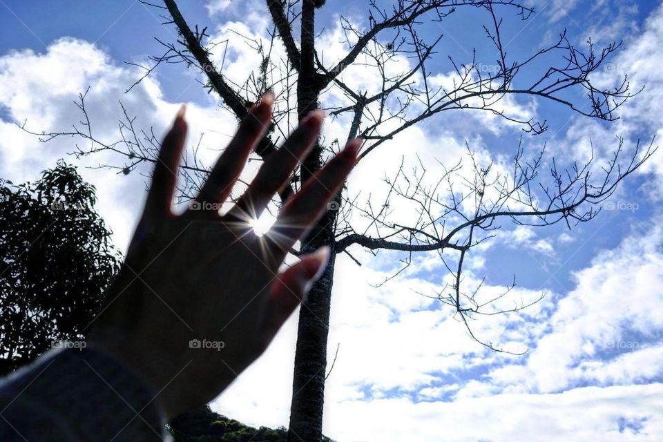 Life and art in visual impressions