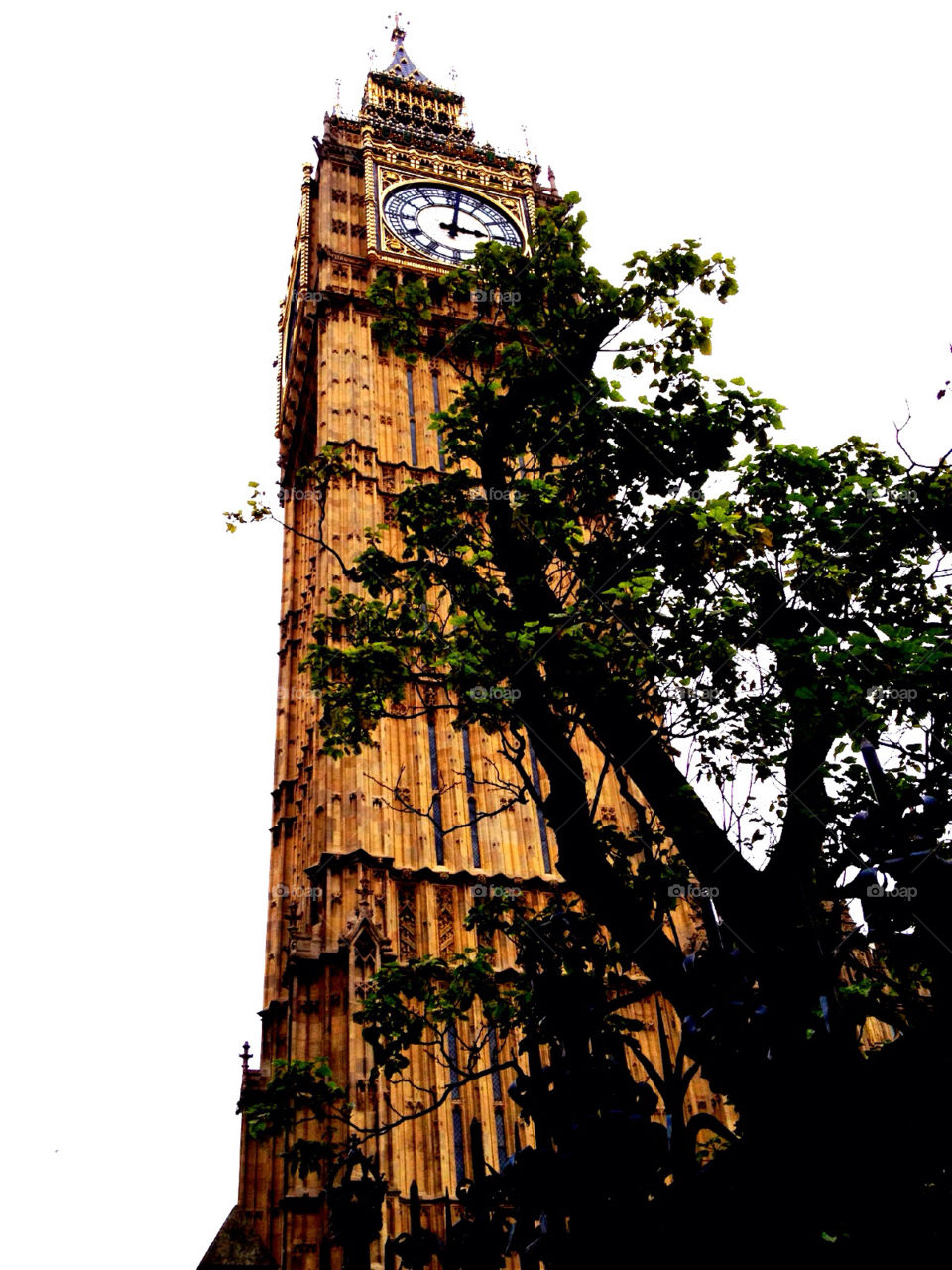 tree london clock tower by kikicheeky