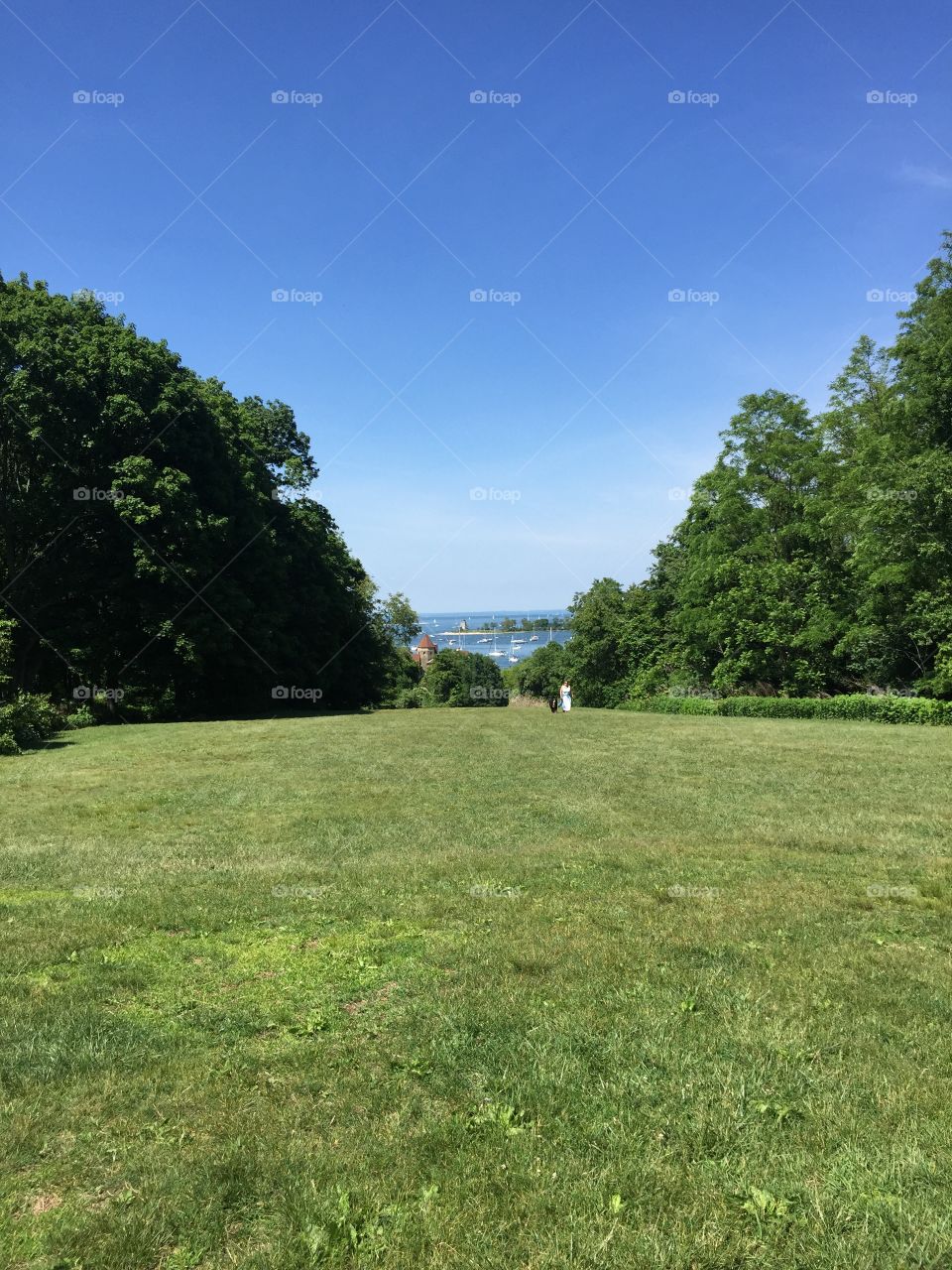 Ring security. Ring bearers