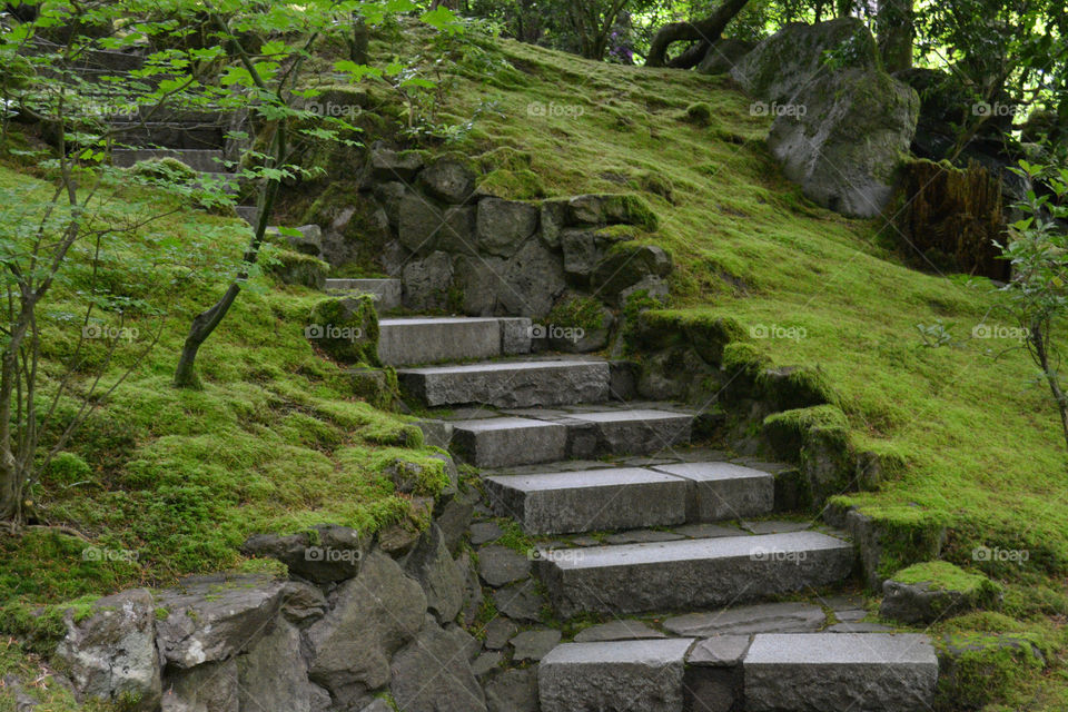 steps at the Japanese garden. Steps at the Japanese garden in Portland