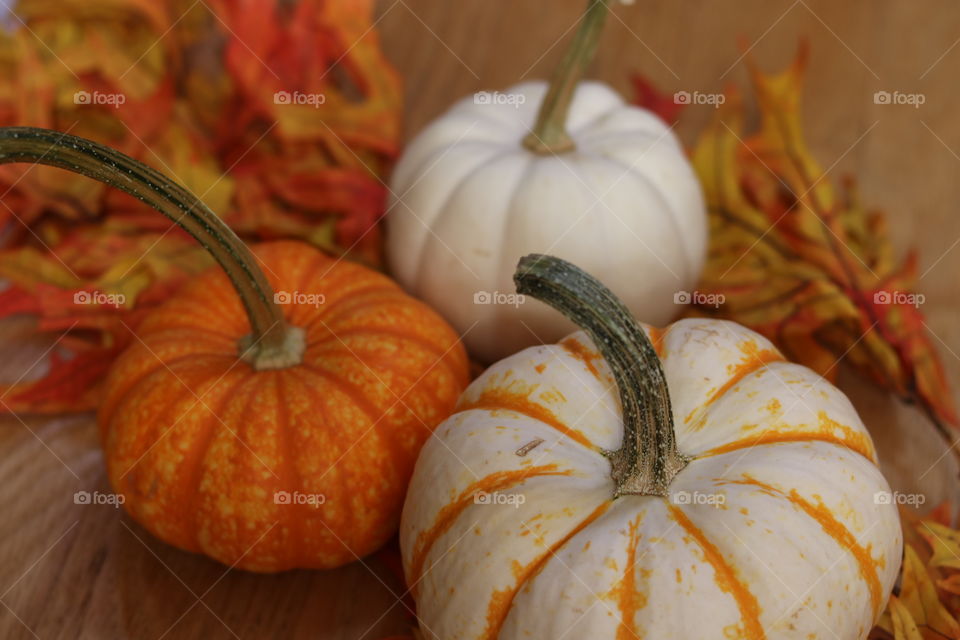 3 pumpkins 