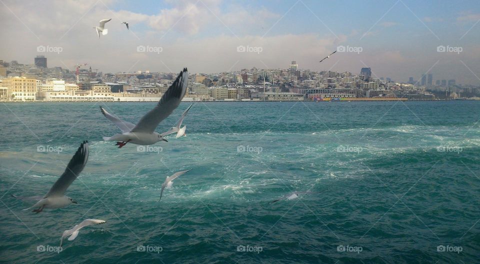 Boat trip 🚢 Views of Istanbul 🌁 Sea scape 🌊