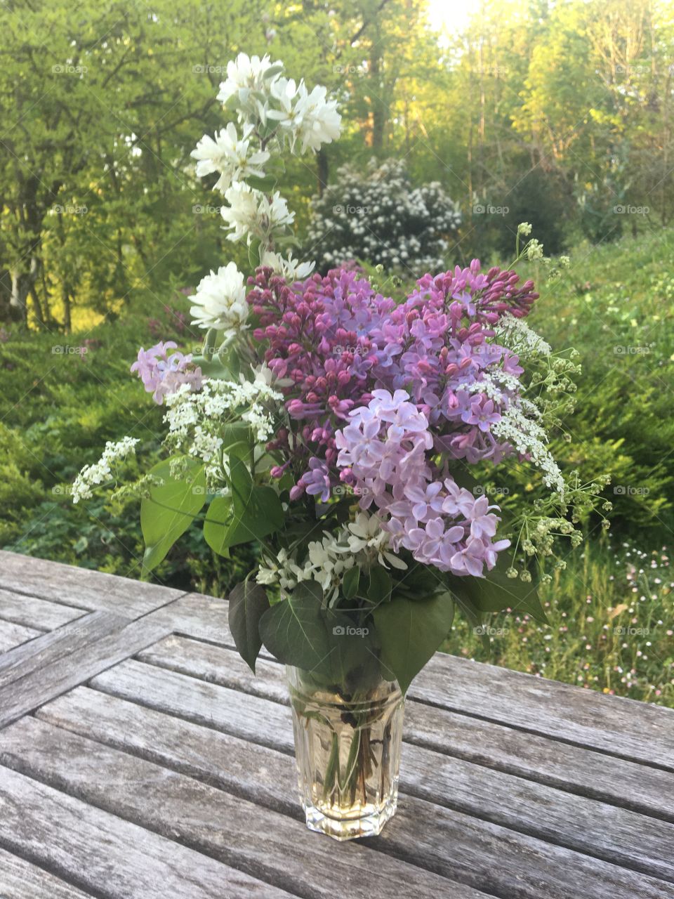 Lilac bouquet in morning light