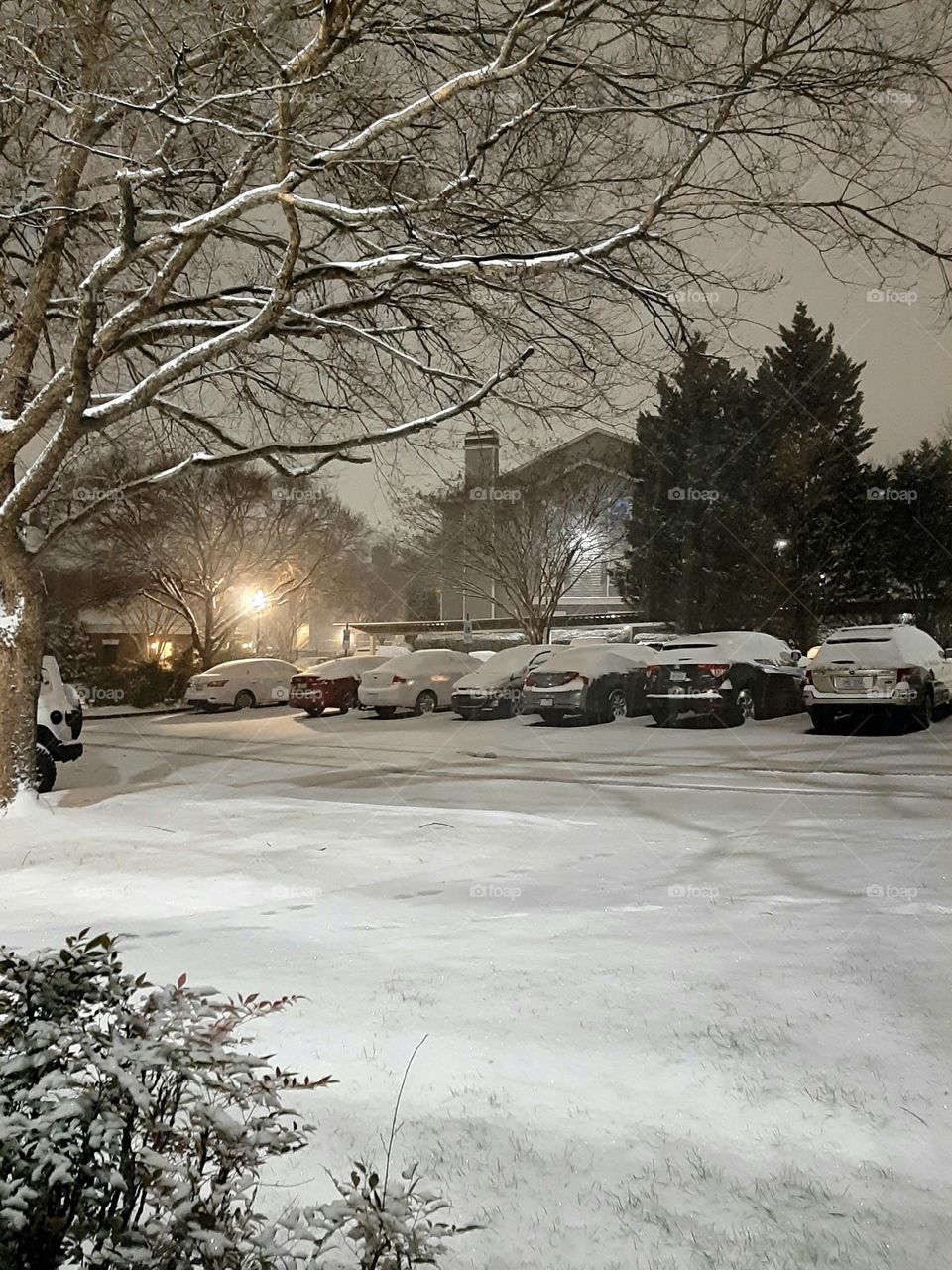 One of winter nights