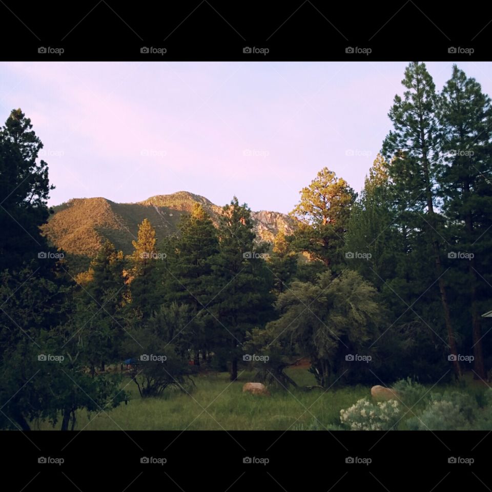 sky mountain trees grass