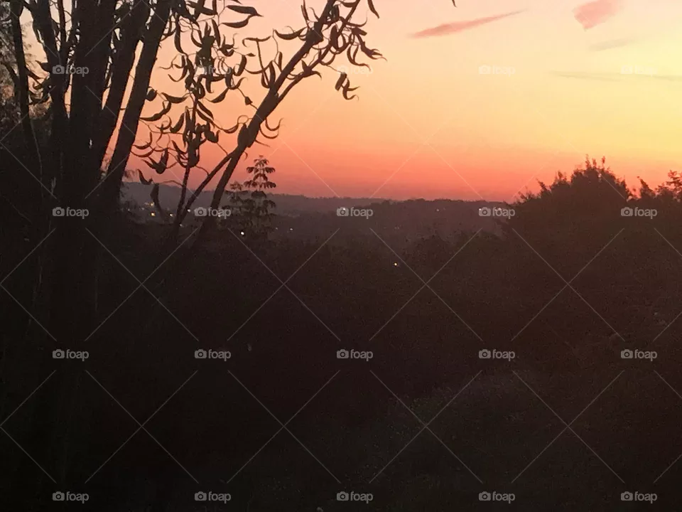 Sunset 