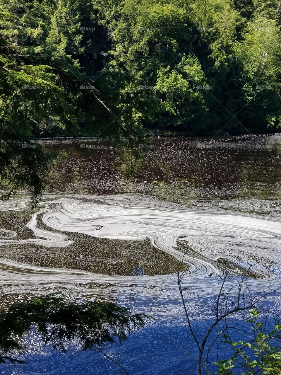 swirling water bubbles