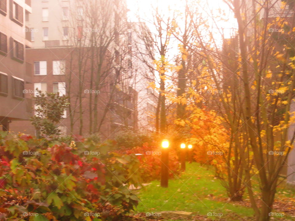 foggy urban landscape