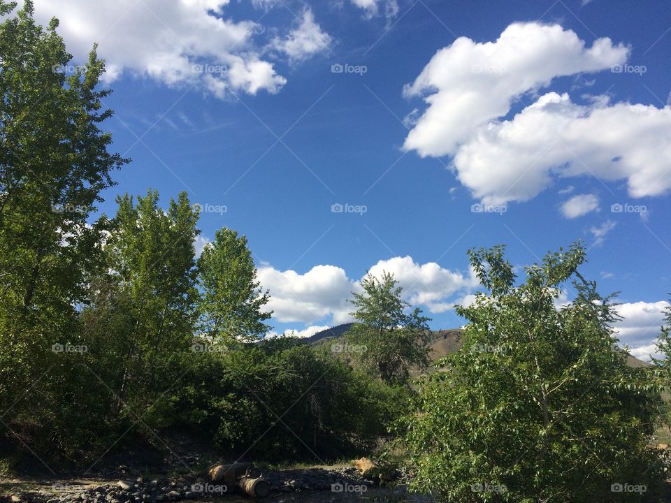 Hiking in the beautiful scenic Kamloops forest! 