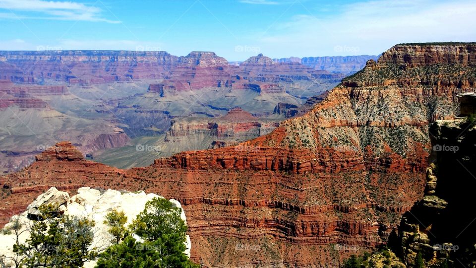 Grand Canyon South Rim Vista