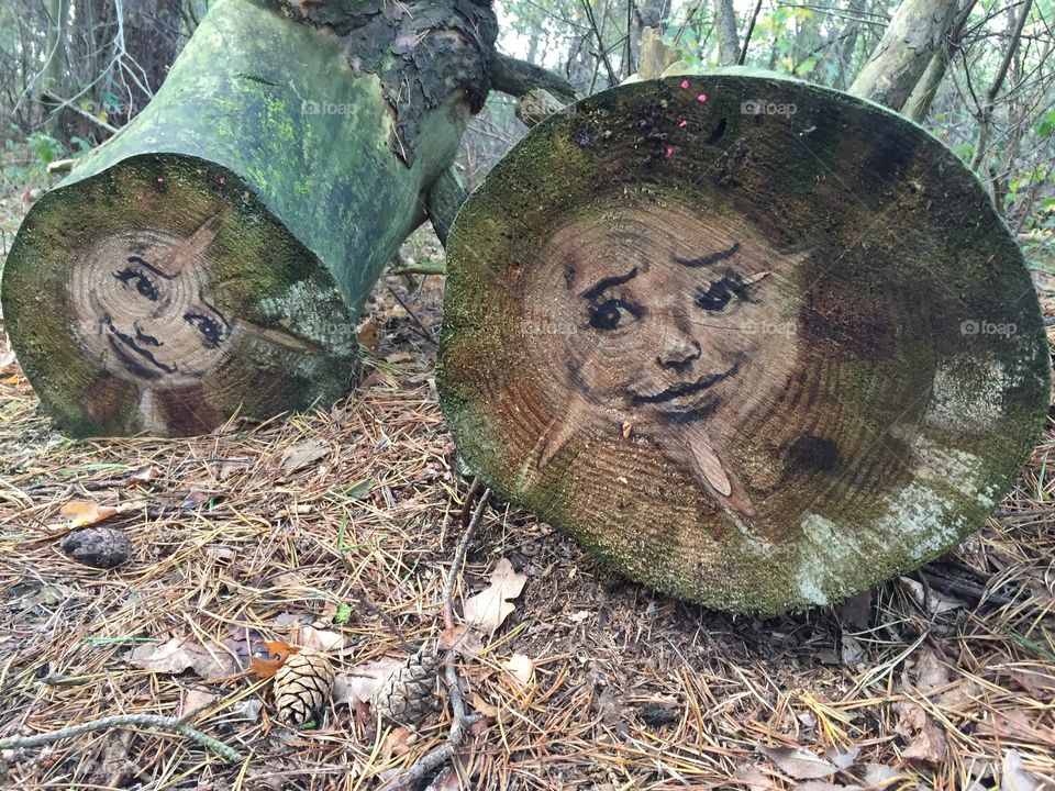 Art and craft on tree trunk
