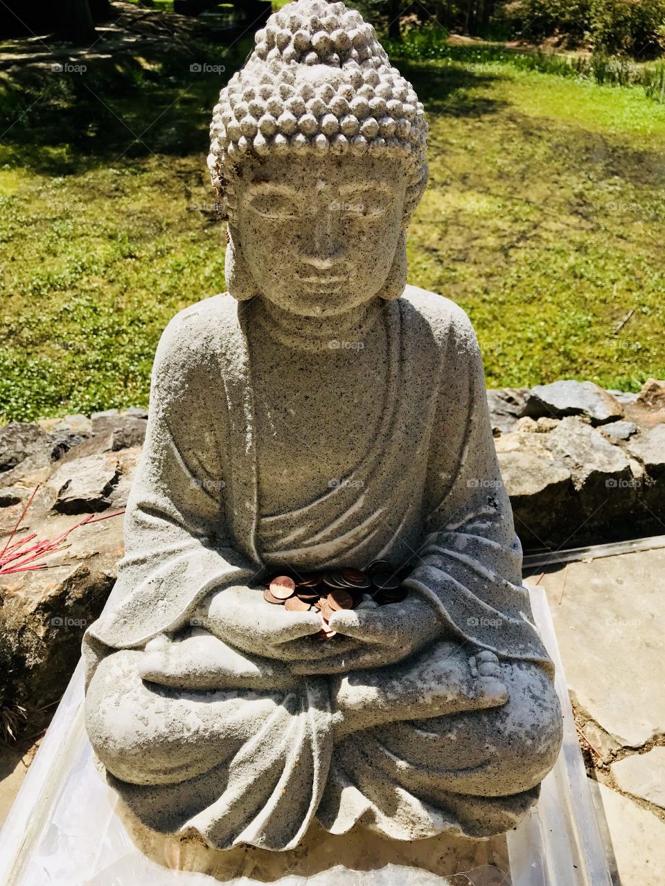 Buddha in the swamp