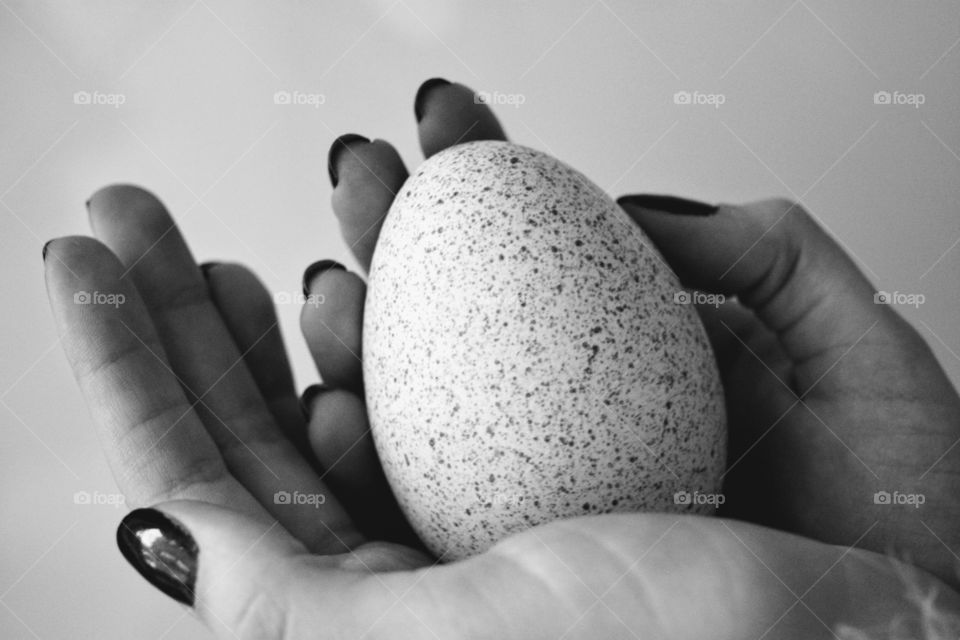 egg in hand black and white