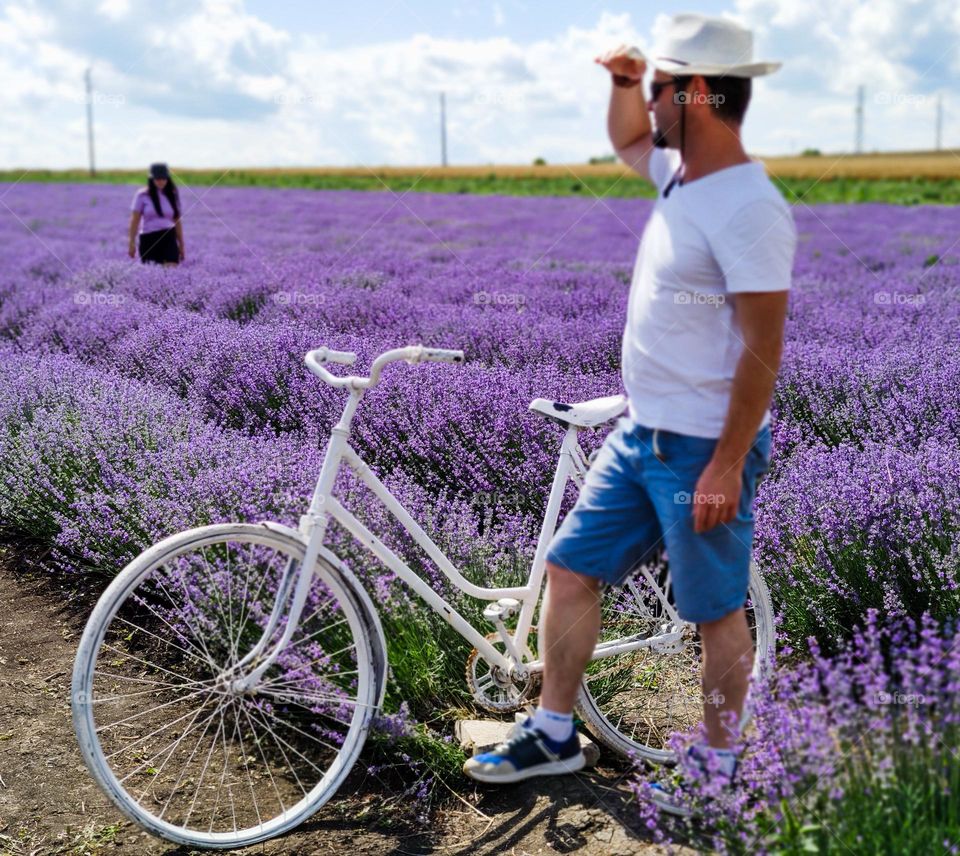 A bicycle as a great decor in the lavender