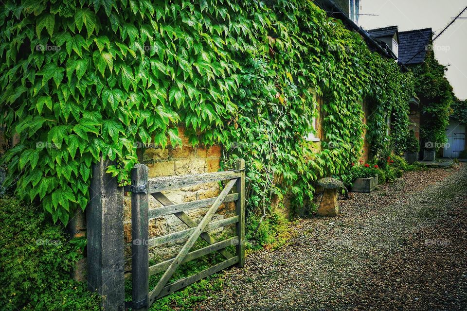 Cottage . Cotswolds 