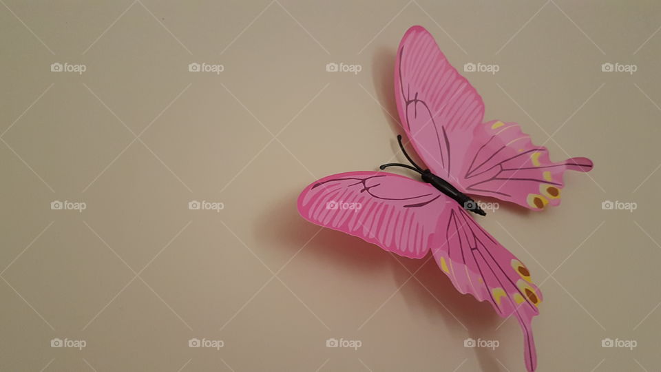 pink butterfly