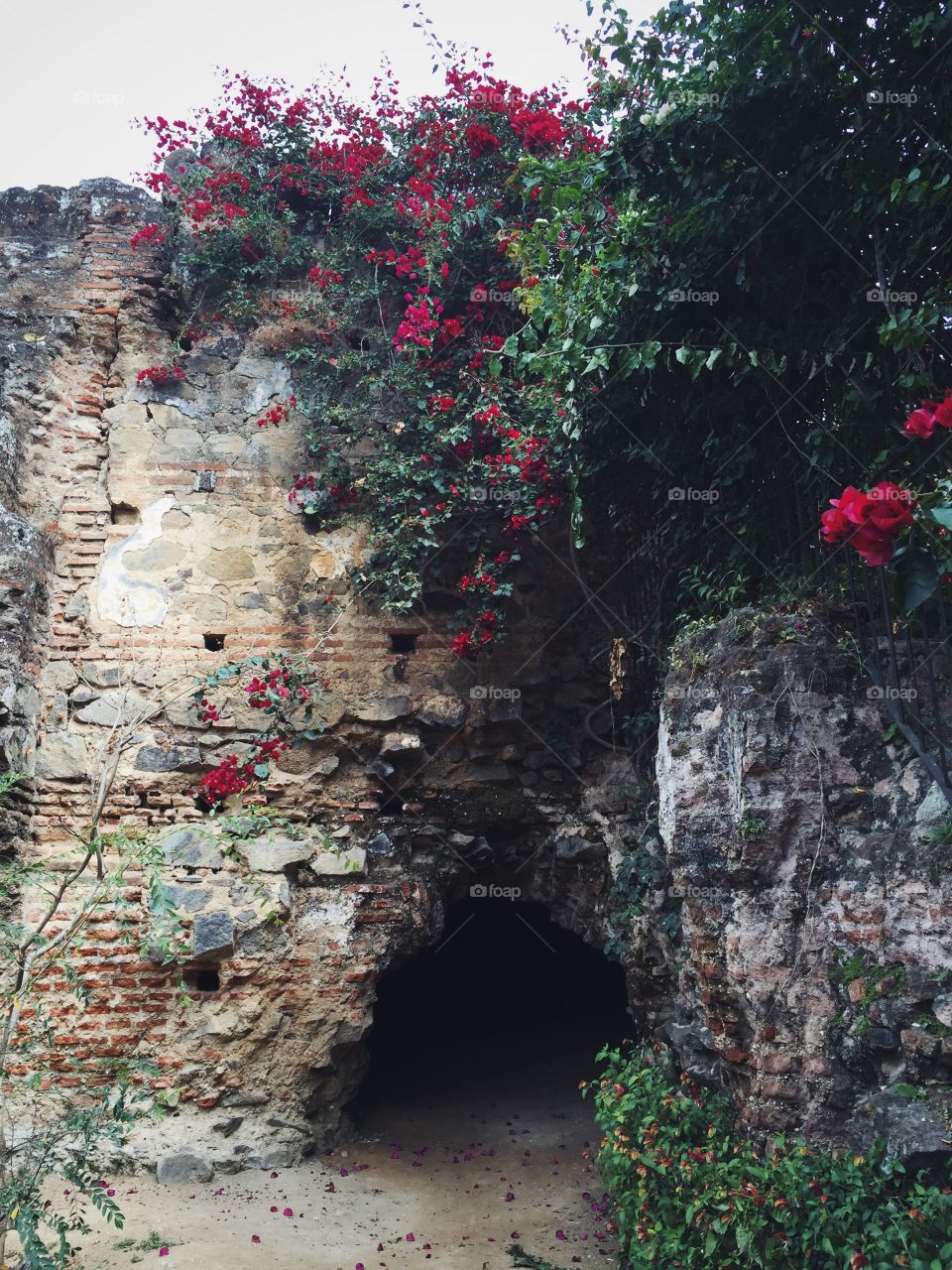 Ruins, Antigua, Guatemala 