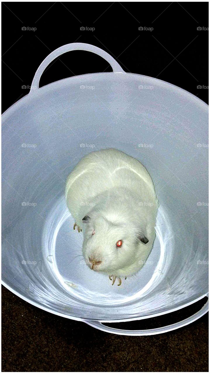 a little help here...