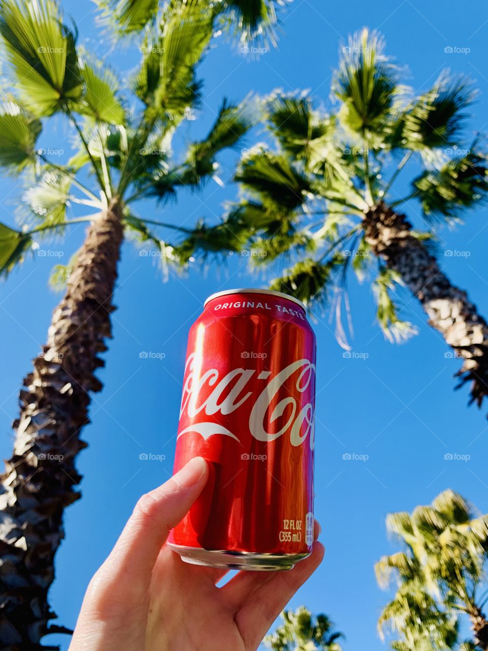 Holding a coke can by the tropical palm trees 