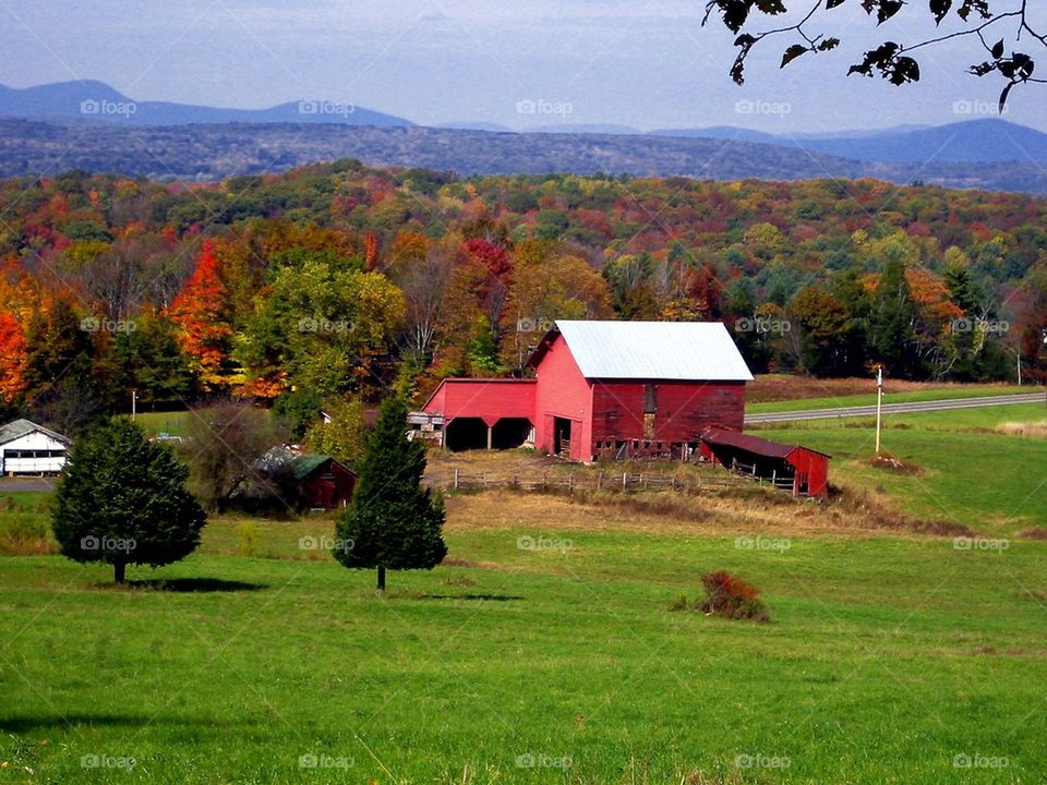 Red Barn