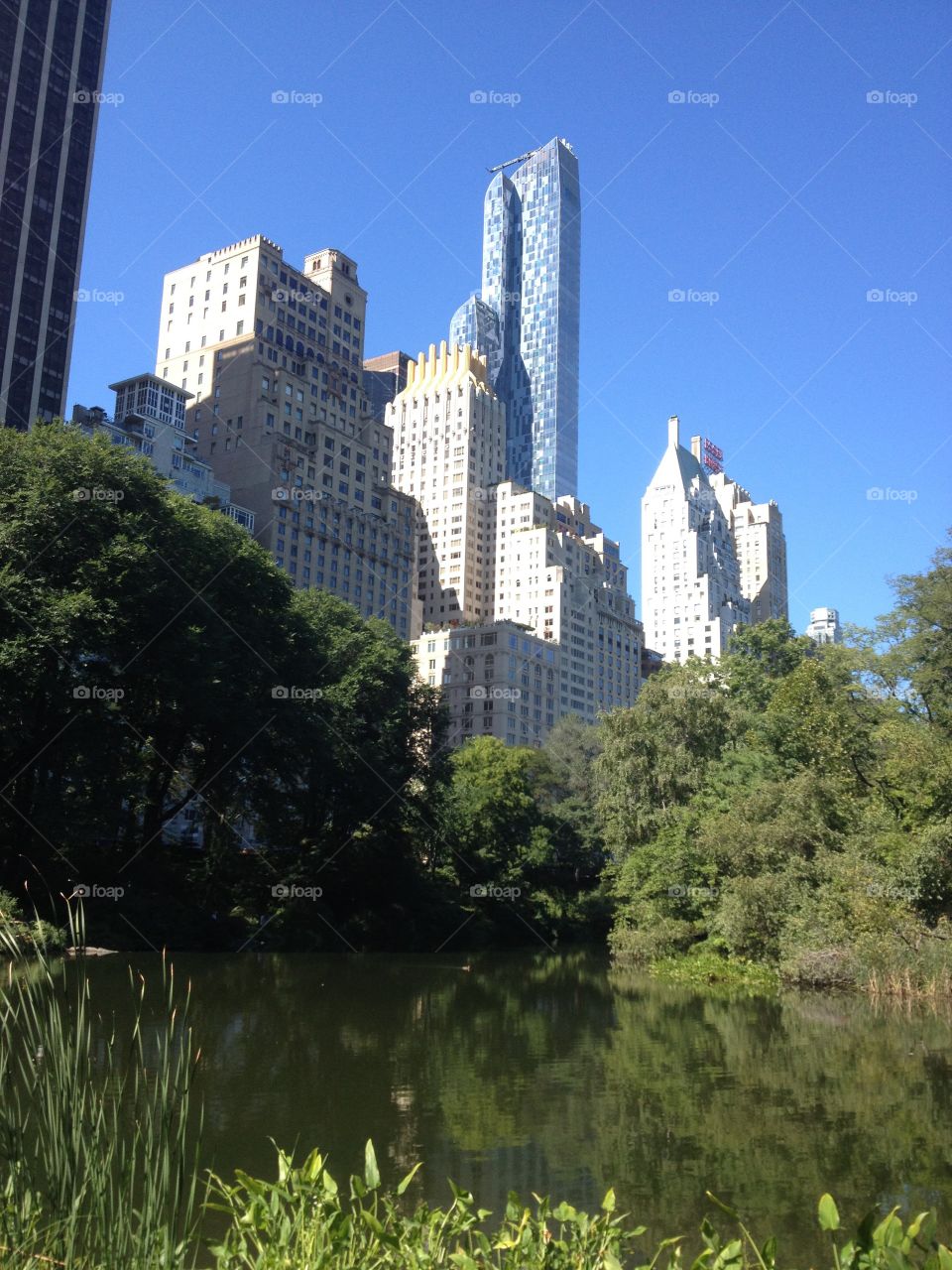 View from Central Park NYC