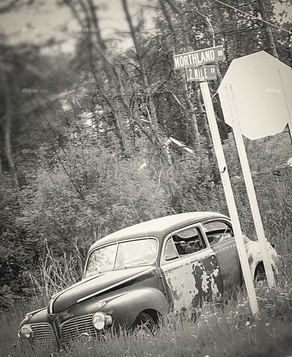 Vintage VW