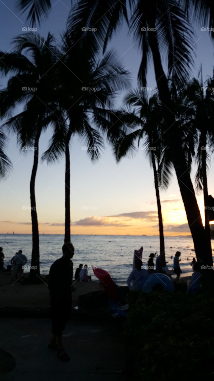 Honolulu Hawaii Beach Sunset