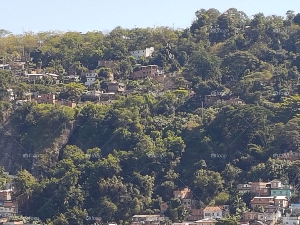 Favela M. Macacos Rio de Janeiro