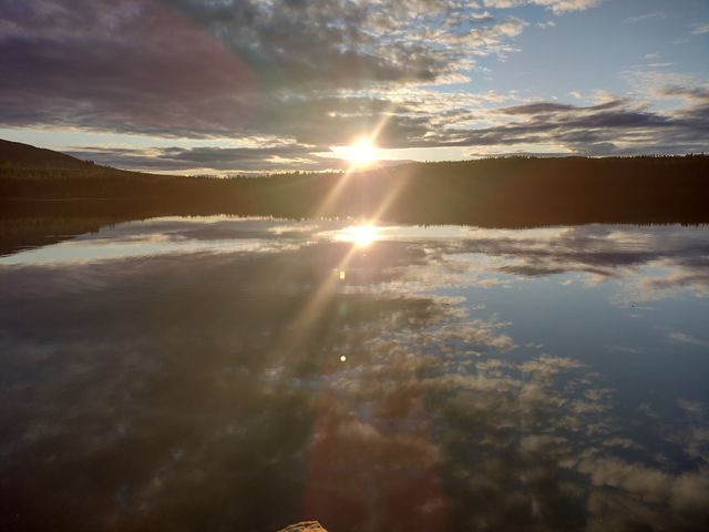 Swedish nature