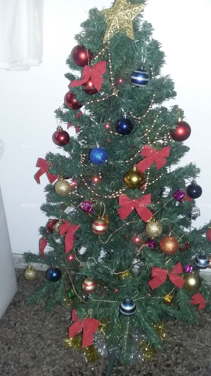 árvore natal