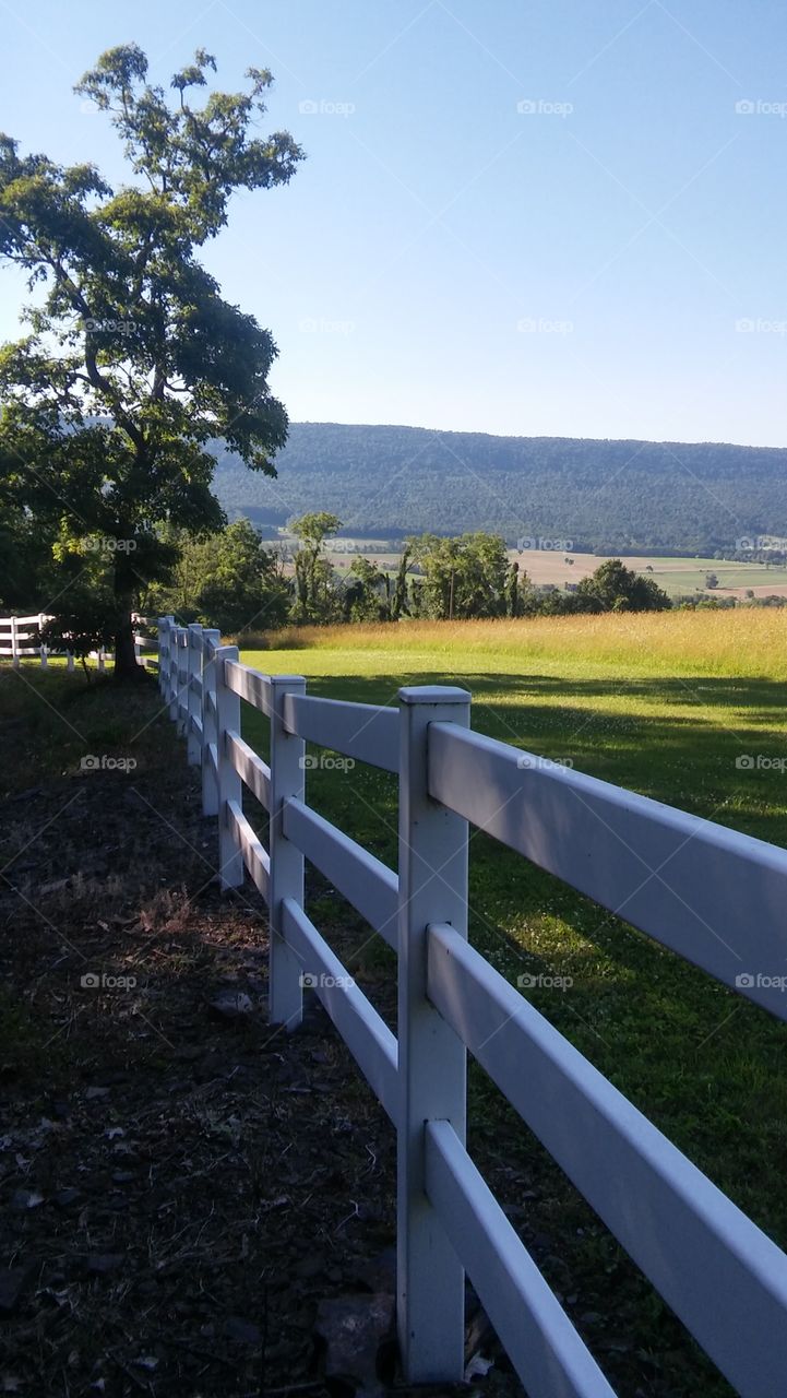 white picket. fence view landscape mountain trees beautiful grass serene getty image country countryside