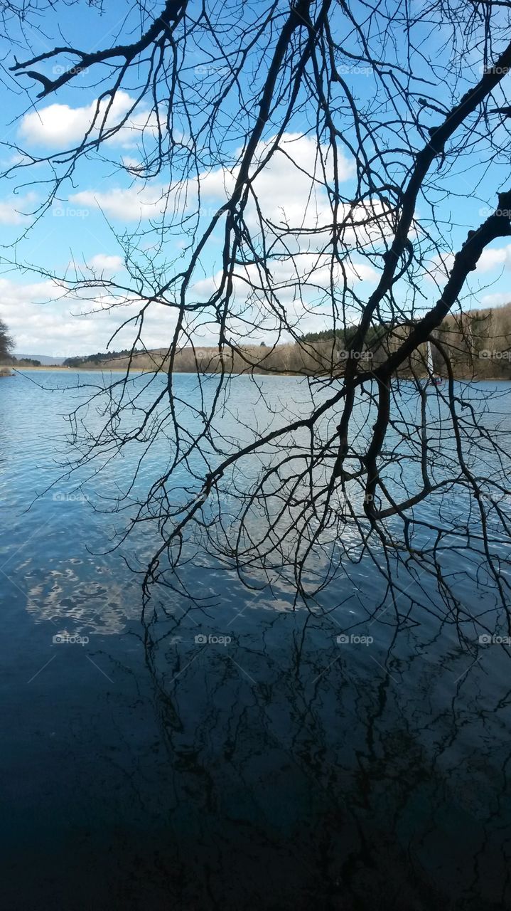 Ellertshäuser See