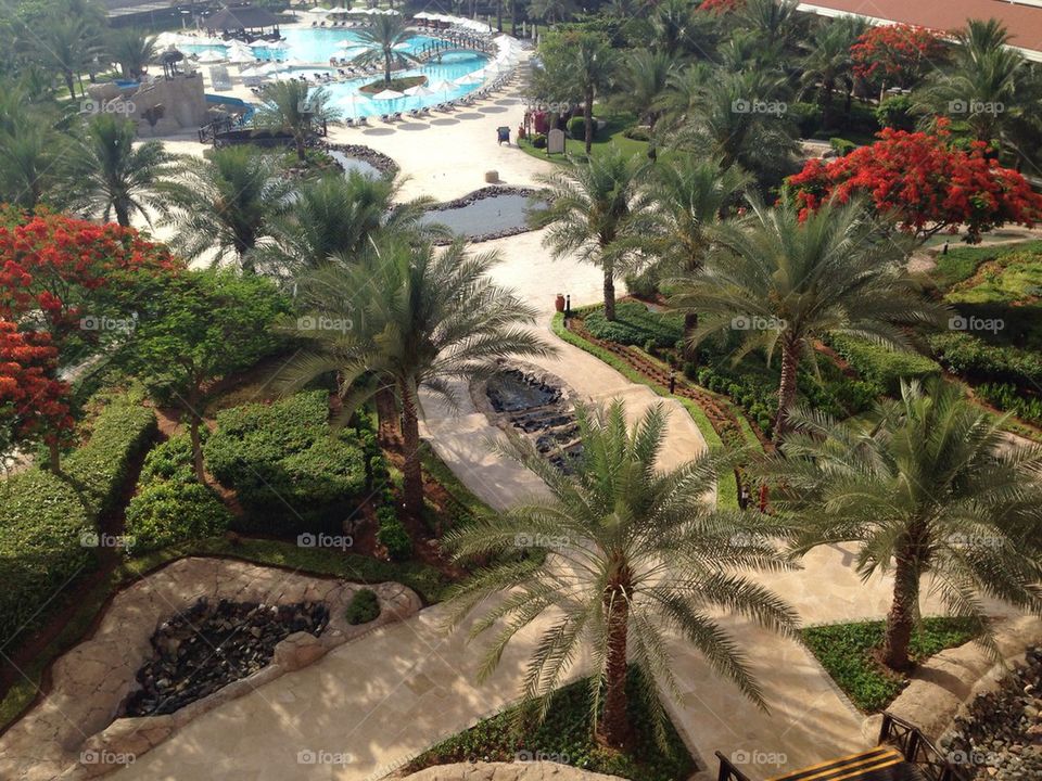 Resort in the UAE