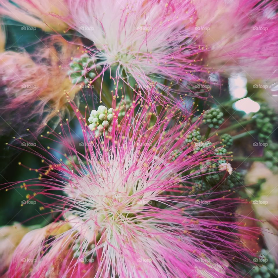 The beauty in nature