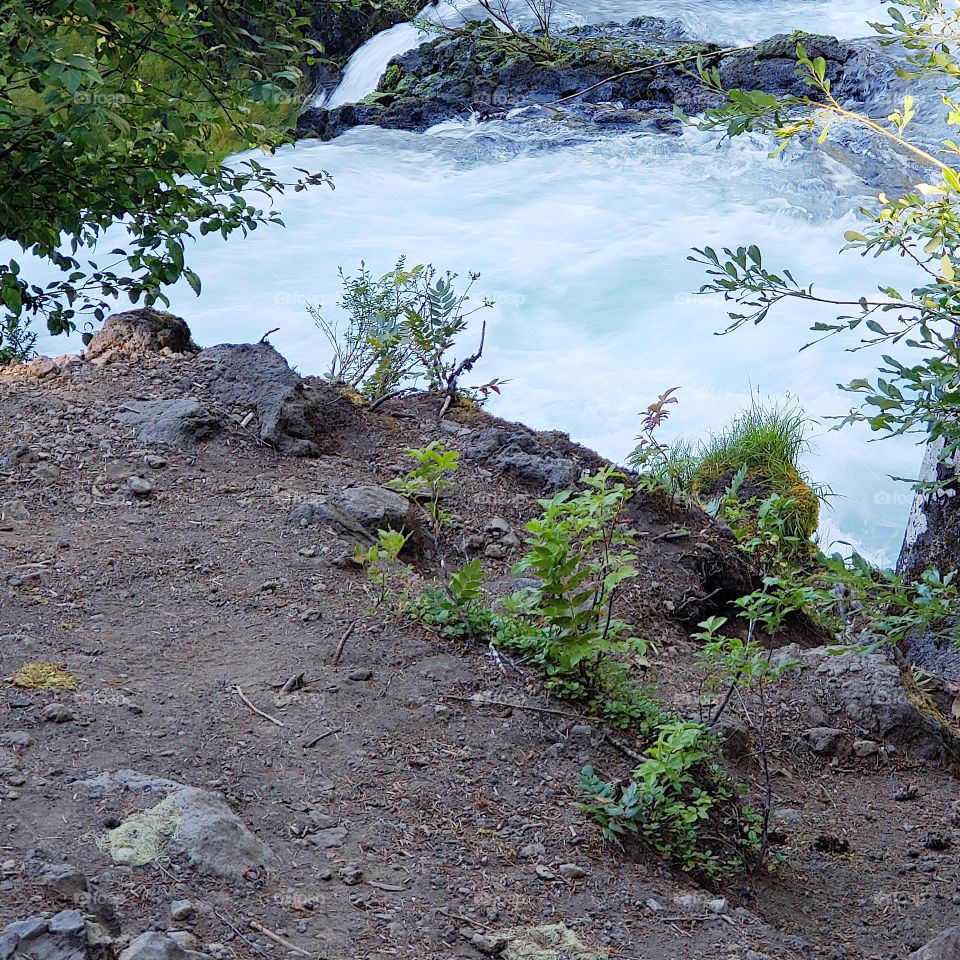 The sun rises on the rapids of the McKenzie River at Koosah Falls in Western Oregon on a summer morning.