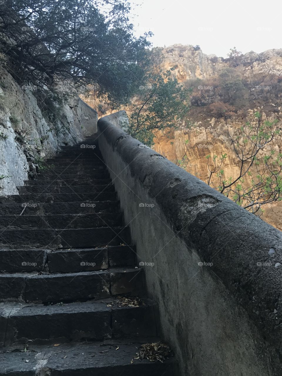 Phoenician steps