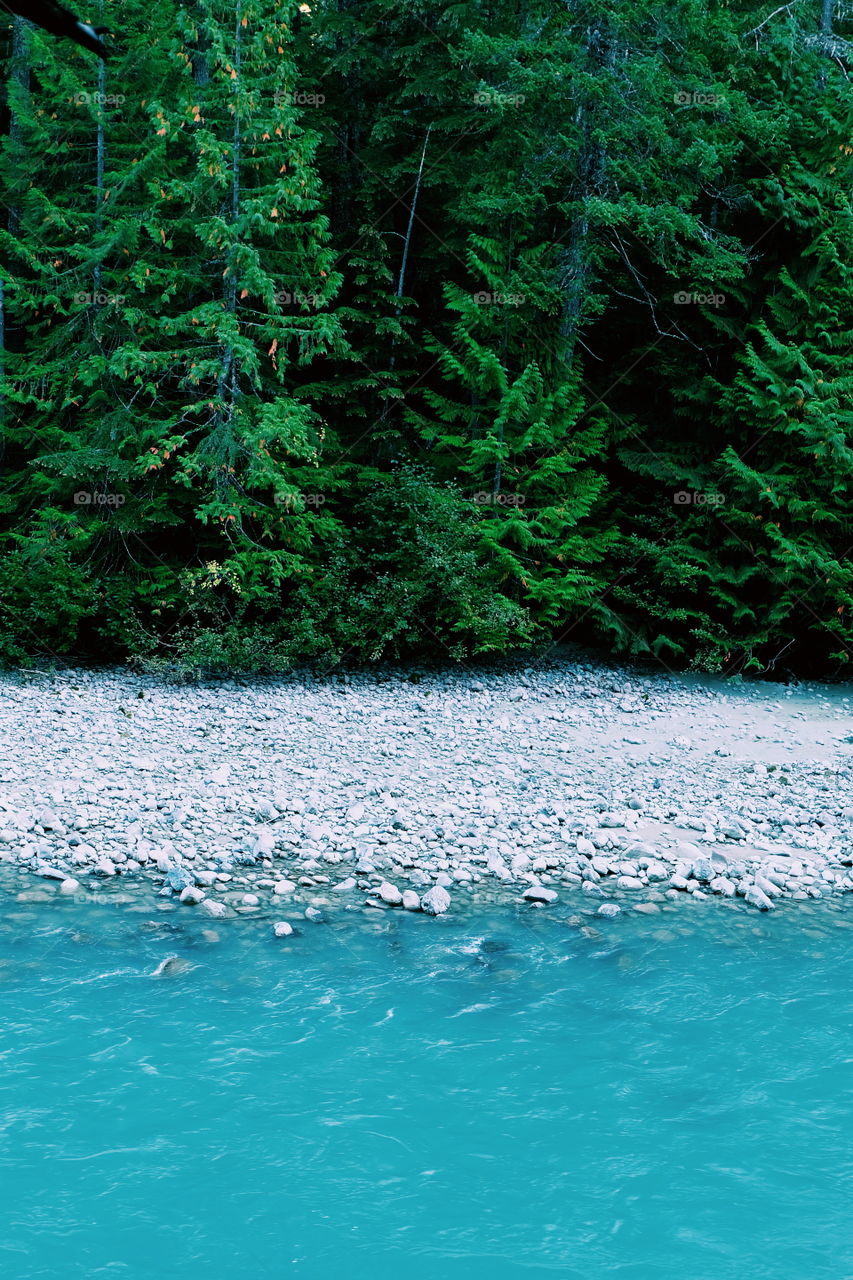 Scenic view of river