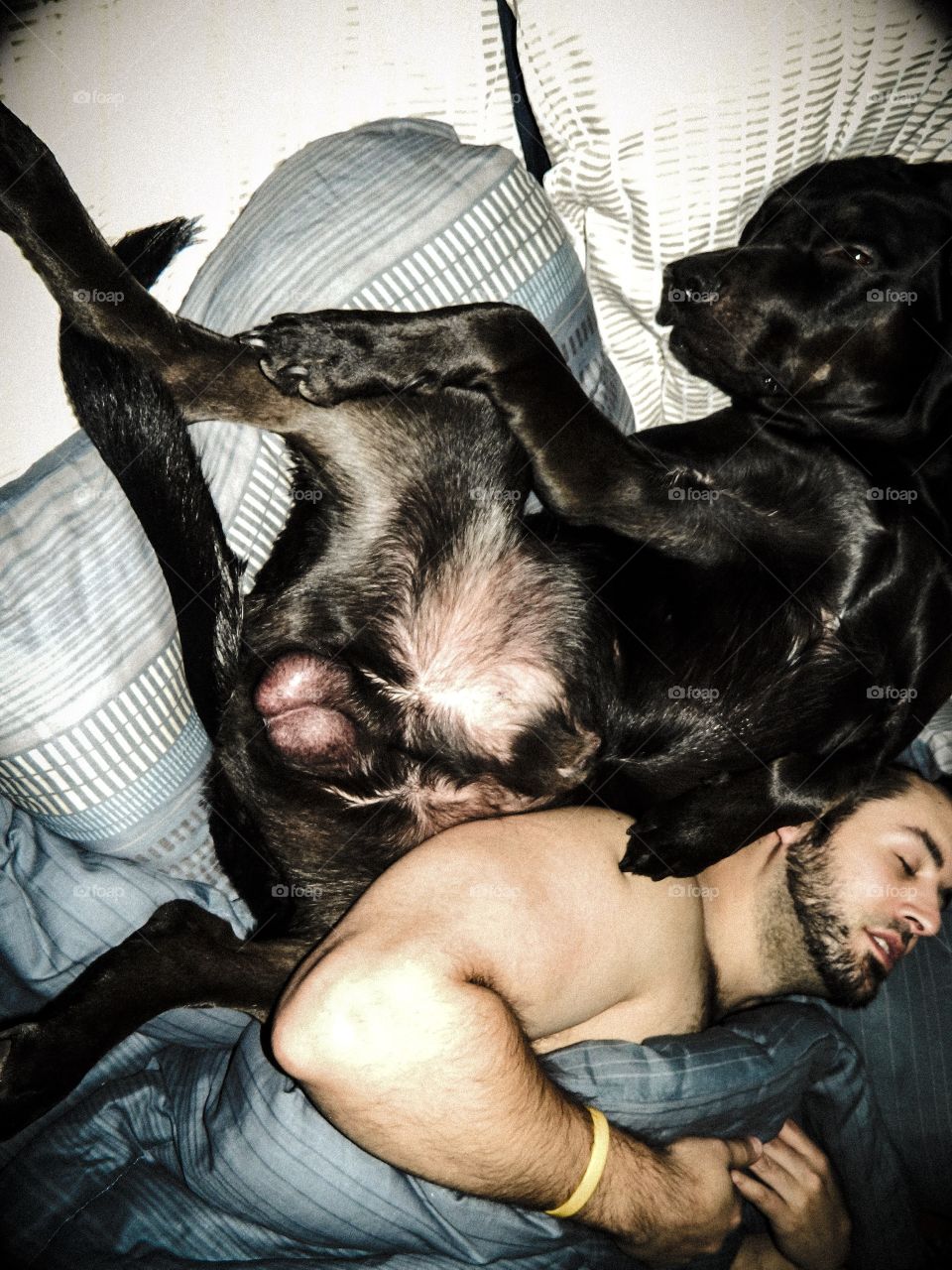 View of dog sleeping with man on sofa